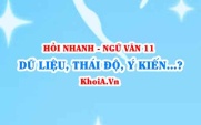 Dữ liệu, Thái độ, Ý kiến, Quan điểm của người viết trong...